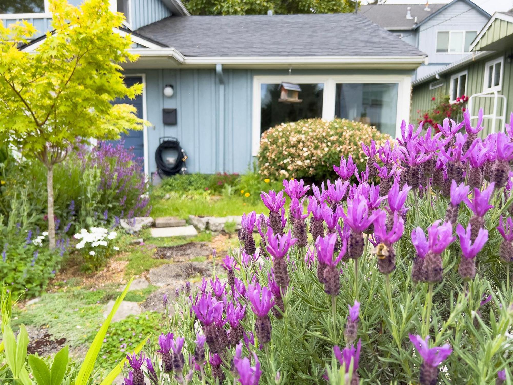 Magnolia Garden Cottage Seattle Bagian luar foto